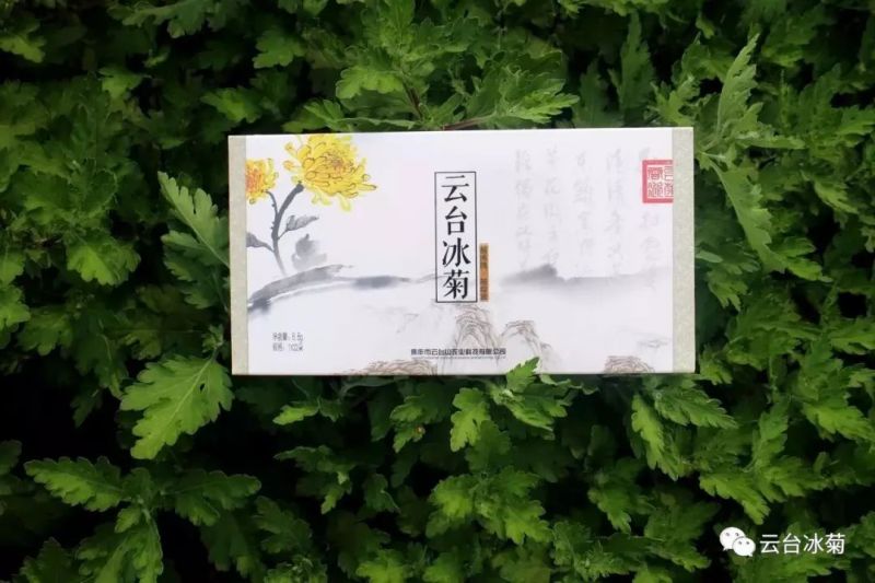 存一夏炙熱，耀一秋豐收！